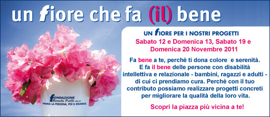 Un fiore per i nostri progetti