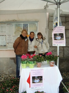 Continua a sbocciare un fiore per i nostri progetti!